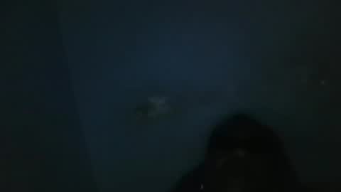 vivitransbahia22cm online show from 02.12.25