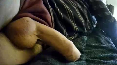 vleeslollie2024 online show from 01.10.25