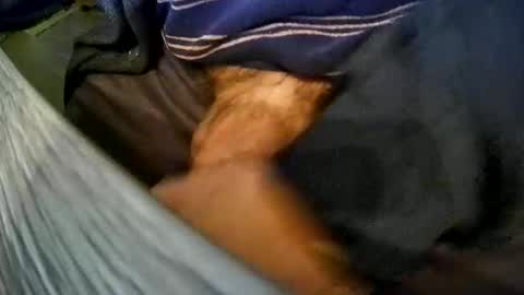 vleeslollie2024 online show from 04.05.26