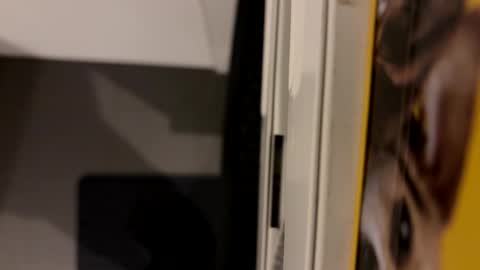 John online show from 12.06.24