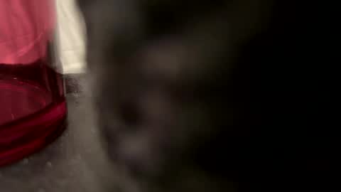 John online show from 12.22.24