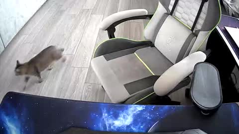 Vonn online show from 10.21.25