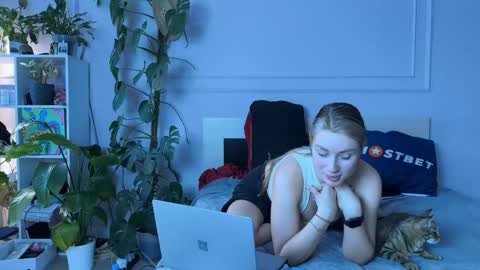 vorvik online show from 01.08.25