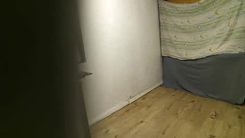 Snapshot of vpetkah chatting on 11.04.25 vpetkah online show from 11.04.25