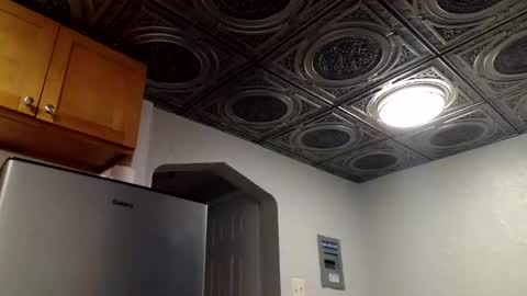 Snapshot of wantstoperform chatting on 11.02.25 wantstoperform online show from 11.02.25