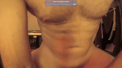 wappyflanker online show from 12.11.24