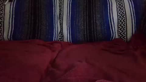 Snapshot of warishcow chatting on 12.11.24 Warishcow online show from 12.11.24