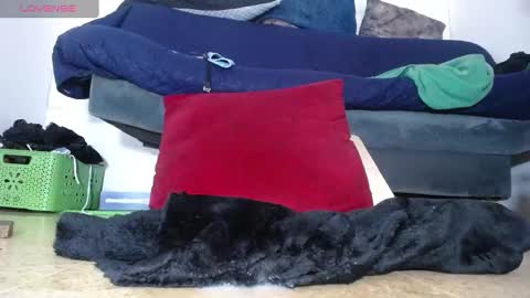 Wendy online show from 12.01.24