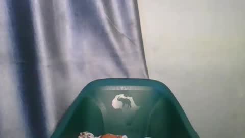 Snapshot of wetfatpussy_ chatting on 02.12.26 wetfatpussy_ online show from 02.12.26