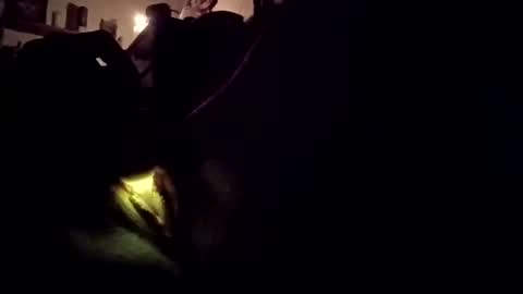 Snapshot of wetpixiepuss chatting on 10.27.25 wetpixiepuss online show from 10.27.25