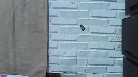 wettyhottie69 online show from 02.03.26