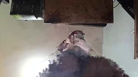 Snapshot of whatsexo chatting on 09.19.25 whatsexo online show from 09.19.25