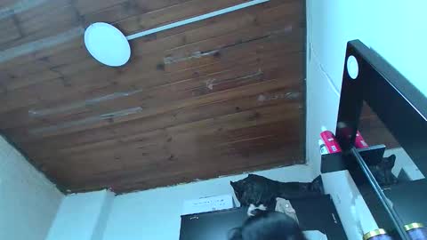 white_sexy_ online show from 01.10.26