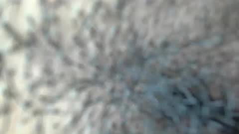 white_sexy_ online show from 01.18.26