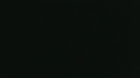 whitehead_lion online show from 10.26.25