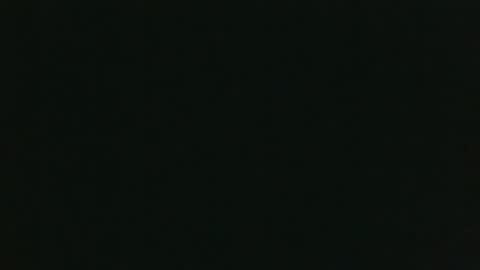 whitehead_lion online show from 12.15.25