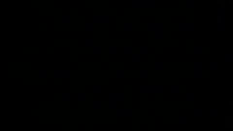 whitehead_lion online show from 02.04.26