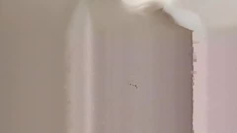 whitelava_4u online show from 03.16.26