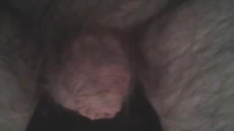 Snapshot of whitemann65 chatting on 01.02.25 whitemann65 online show from 01.02.25