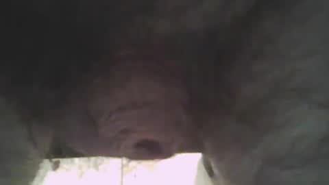 Snapshot of whitemann65 chatting on 01.02.25 whitemann65 online show from 01.02.25