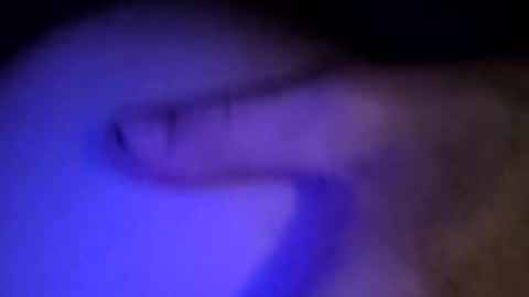 whodunnitwrangler online show from 02.08.26