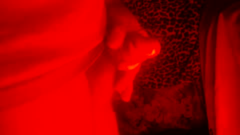 whor4mor online show from 12.27.24