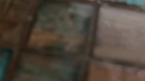 VI online show from 02.10.26