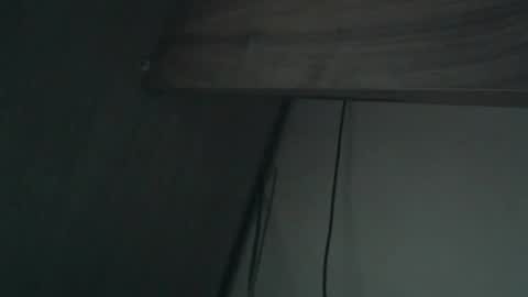 wildbrdick online show from 04.16.26