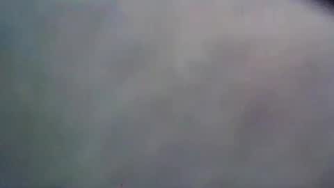 wildbrdick online show from 06.09.26