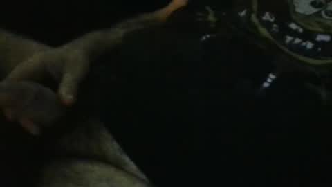 WildeAlex online show from 09.28.25