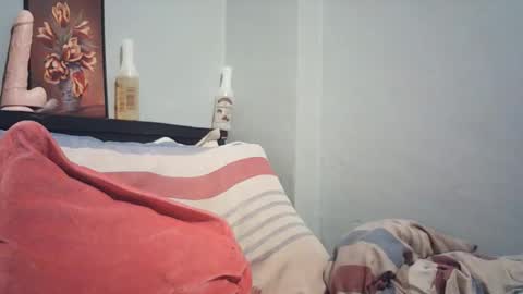 Snapshot of wildfiery chatting on 02.19.26 wildfiery online show from 02.19.26