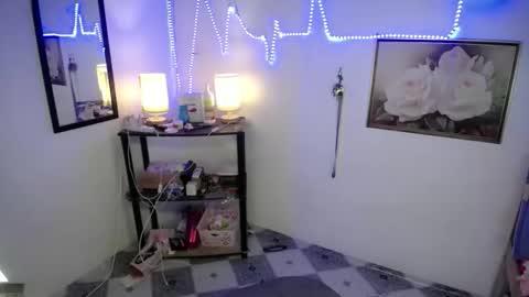 Snapshot of wildflowermitch chatting on 11.27.25 Mitch online show from 11.27.25