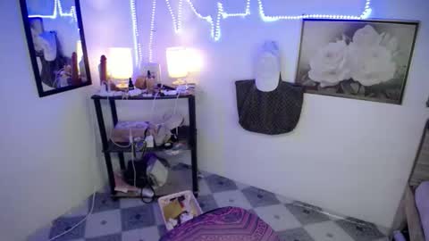 Snapshot of wildflowermitch chatting on 12.14.25 Mitch online show from 12.14.25