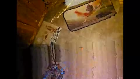 wildman2900 online show from 12.08.24