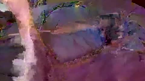 bobby banks online show from 02.20.26