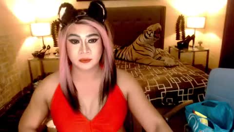 Snapshot of wildtransjhade chatting on 01.06.25 wildtransjhade online show from 01.06.25