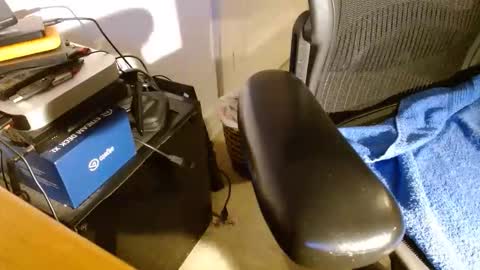 wildwills online show from 04.14.26