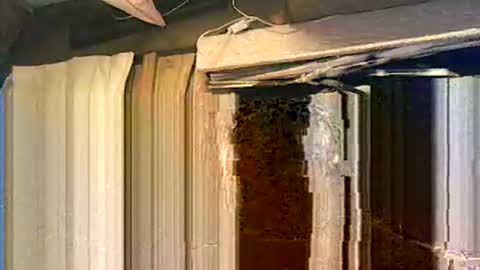 Snapshot of willielowrider chatting on 03.29.26 willielowrider online show from 03.29.26