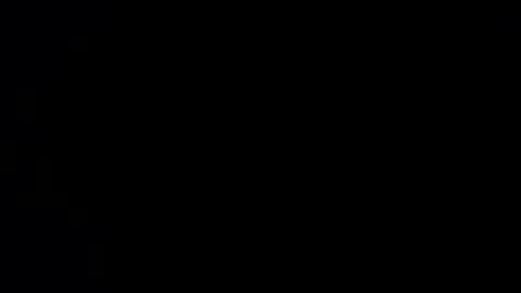 williewants online show from 11.27.25