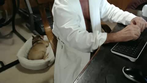 willy471348085 online show from 11.18.25