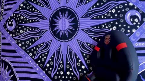 willy_veins online show from 12.03.24