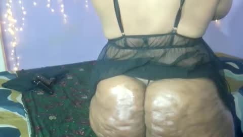 wilmaassylum online show from 09.12.25