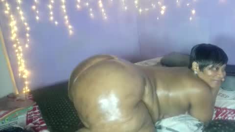 wilmaassylum online show from 10.12.25