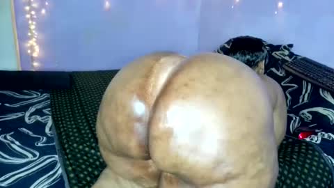 Snapshot of wilmaassylum chatting on 11.20.25 wilmaassylum online show from 11.20.25