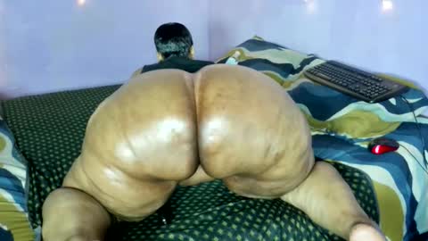 Snapshot of wilmaassylum chatting on 11.21.25 wilmaassylum online show from 11.21.25