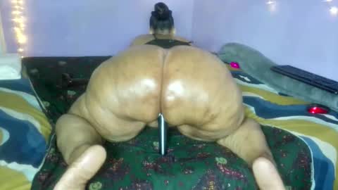 Snapshot of wilmaassylum chatting on 12.19.25 wilmaassylum online show from 12.19.25