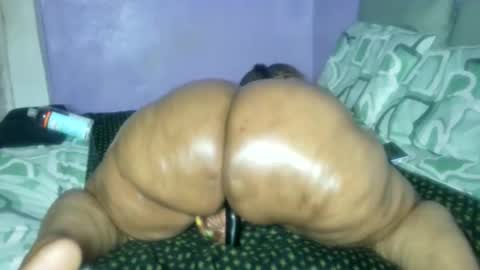 wilmaassylum online show from 02.26.26