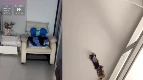 CN WEIWEI online show from 03.04.26