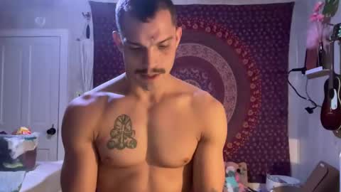 Wolfblazer online show from 02.02.25