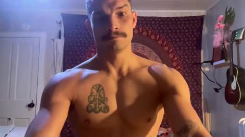 Wolfblazer online show from 02.10.25